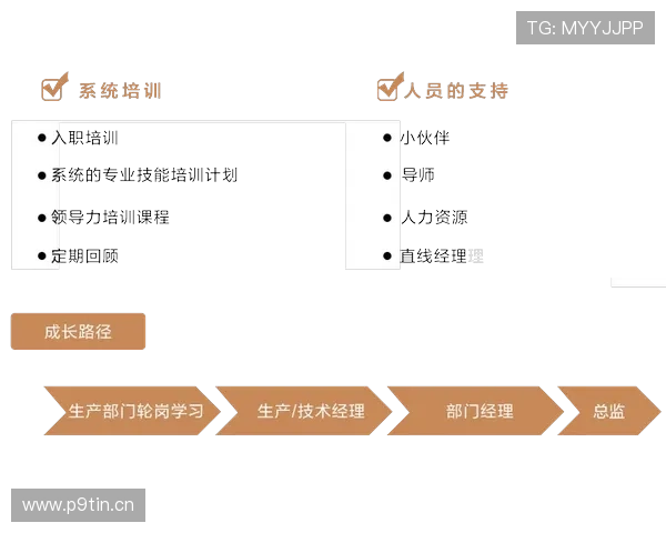 全面解析企业家必备核心素质与成长路径研究与实践创新探索策略